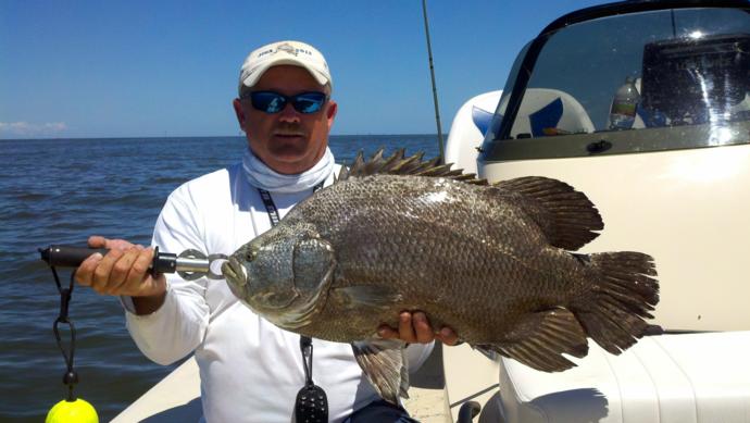 Inshore Fishing Photo